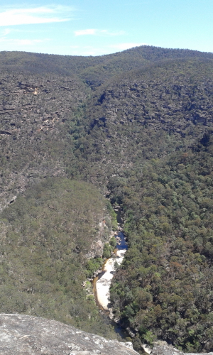 Looking out over Wollemi Creek
