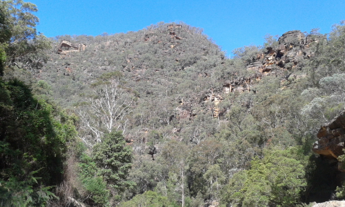 Looking back up from where we came