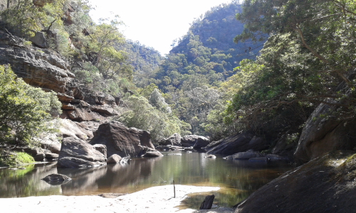 At the bottom of the Wollemi Creek