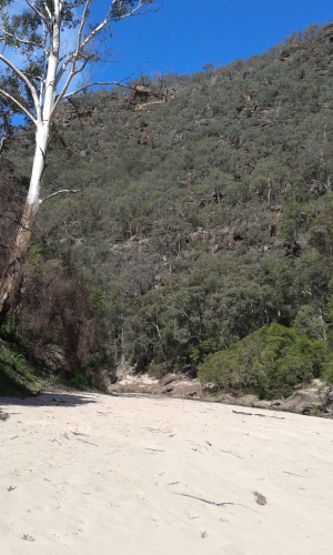 Wollemi Creek bed