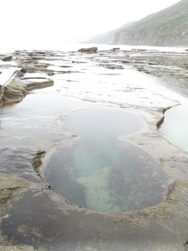 Figure of eight pool