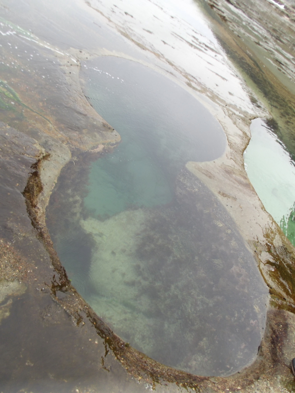 Figure of eight pool