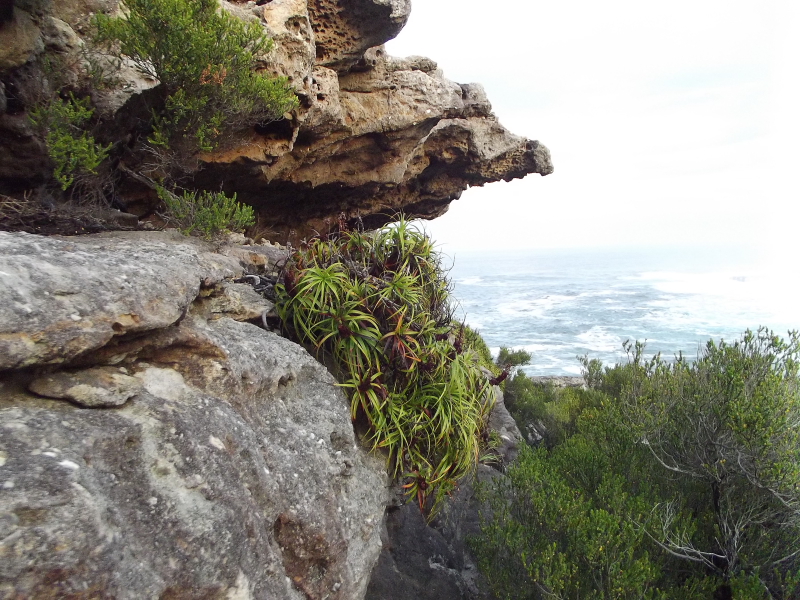 Interesting rock formation