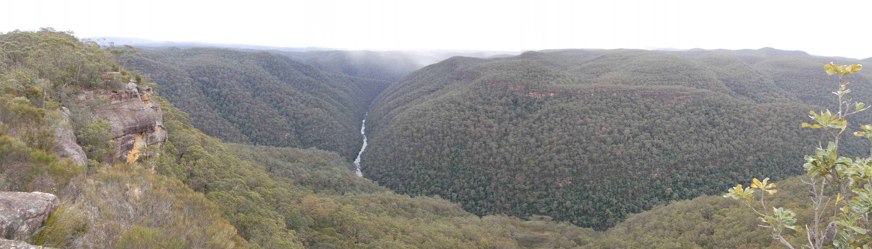 A wide view from the lookout