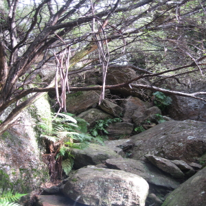 The track down off the plateau