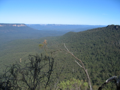 Looking South from the Col (Warragamba Catchment in the background)