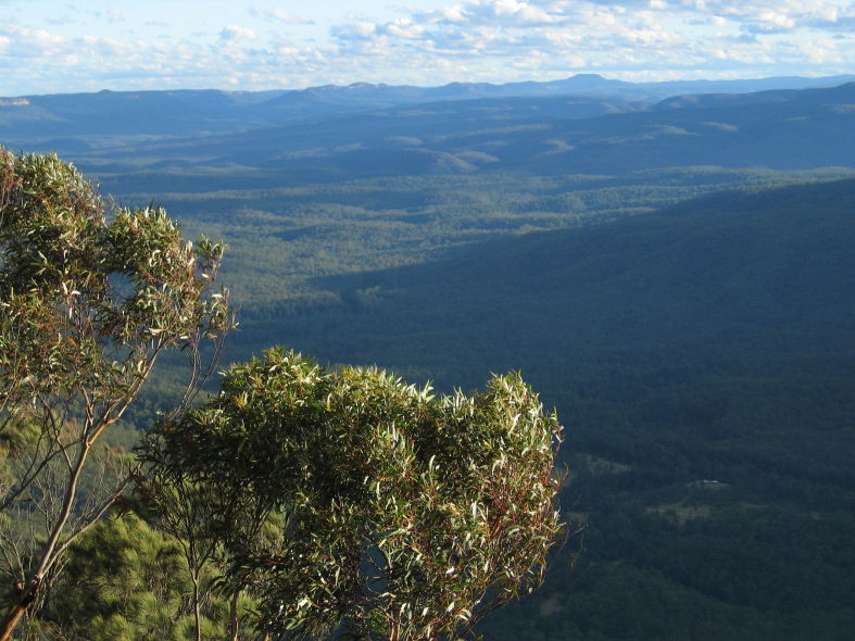 Looking back on the homestead site from around Tableland Road